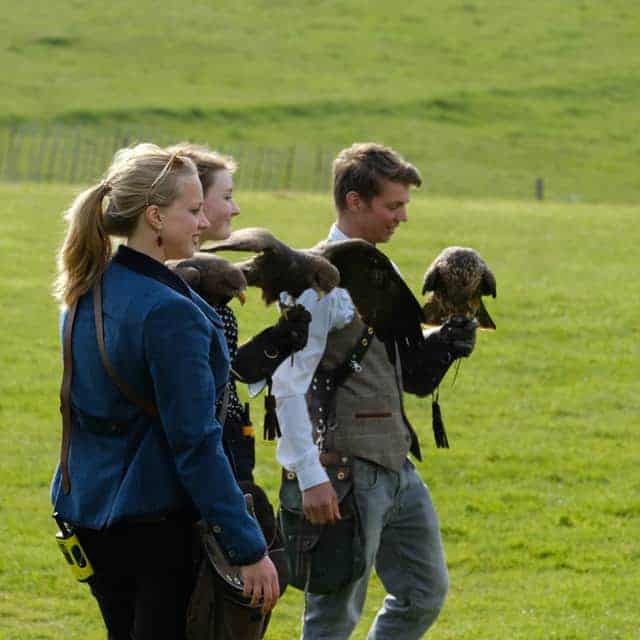 British Falconry Fair, National Centre for Birds of Prey